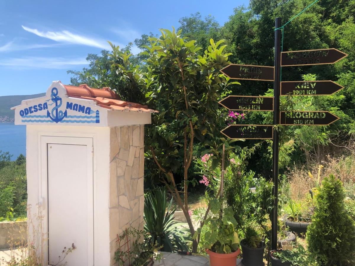 Odessa Mama Διαμέρισμα Bijela Εξωτερικό φωτογραφία